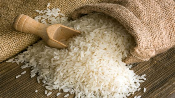 Researchers make breakthrough discovery that could change how we produce rice — here’s what they found – MASHAHER