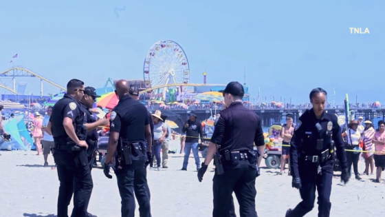 2 hospitalized after large brawl breaks out near Santa Monica Pier – MASHAHER