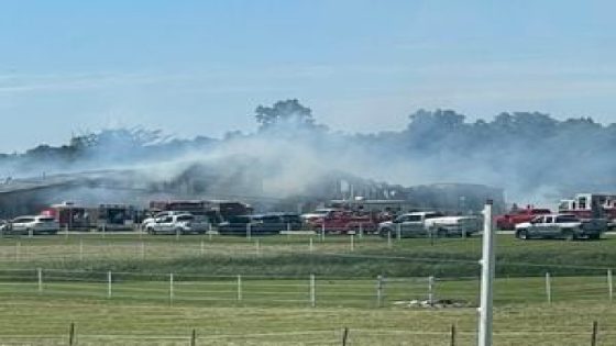 ‘The worst tragedy;’ Barn owner says he feels terrible after over 40 horses die in weekend fire – MASHAHER