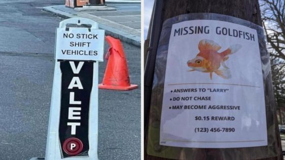 18 Signs That Made Me Laugh So Hard I Forgot My Name, Birthday, And Credit Card Number – MASHAHER