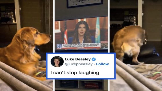 I Spent Way, Way Too Much Time On The Internet Last Month, So Here Are The 33 Funniest Political Tweets I Could Find – MASHAHER