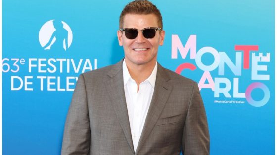 ‘SEAL Team’ Star David Boreanaz Teases Next Project – MASHAHER