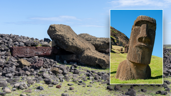 Easter Island ‘ecocide’ myth debunked in new scientific study – MASHAHER