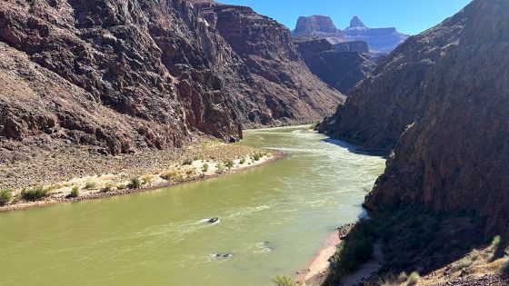 Hiker found dead in Grand Canyon after camping overnight – MASHAHER