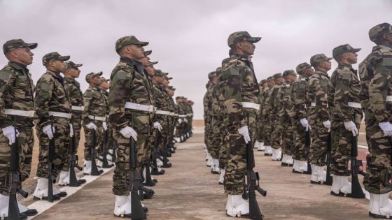 US military works to deepen partnerships in African Lion exercise – MASHAHER