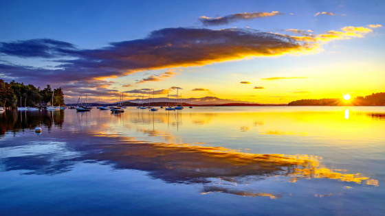 New Hampshire urges Lake Winnipesaukee visitors to avoid water due to algae – MASHAHER