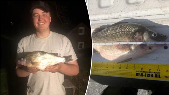 Pennsylvania teenager reels in largest white perch his state has seen – MASHAHER