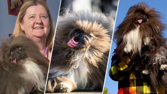 ‘Wild Thang’ lives up to his name, finally crowned ‘World’s Ugliest Dog’ after years of falling short – MASHAHER