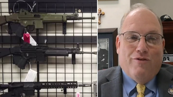 House Republican blasts ‘absurd’ police as he defends right to bear arms – MASHAHER