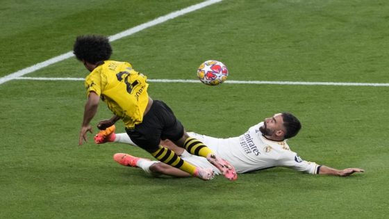 Dortmund rues missed chances in Champions League final loss – MASHAHER