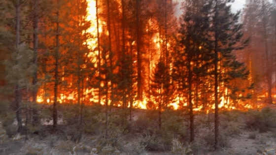 Evacuation Orders as Wildfire Grows in Central Oregon – MASHAHER