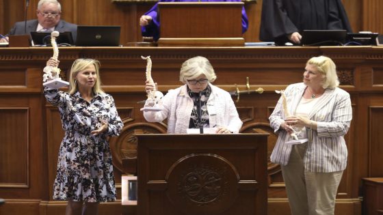 Three female GOP state senators who filibustered S.C. abortion ban lost their primaries – MASHAHER