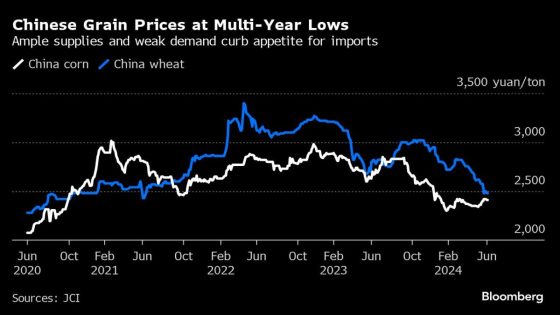 China’s Waning Appetite for Grain Spells Danger for World Market – MASHAHER