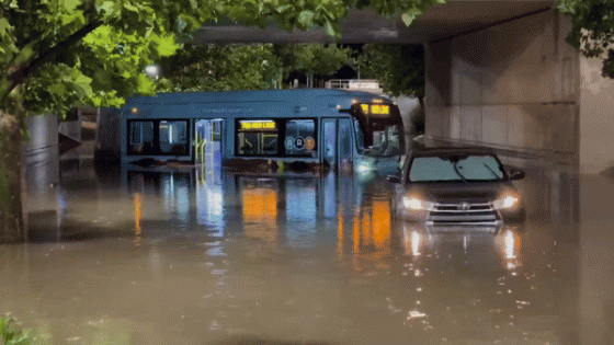 Public Bus Among Vehicles Stranded in Albuquerque Floods – MASHAHER