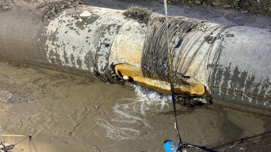 Calgary mayor applauds reduced water use after pipeline break – MASHAHER