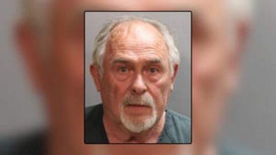 80-year-old driver arrested for DUI after allegedly crashing into wall of Jacksonville Publix – MASHAHER