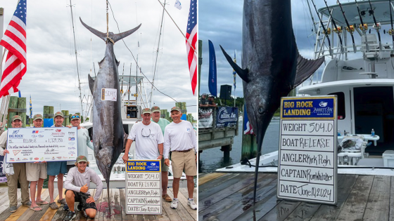 North Carolina fishing team wins $1.7M after catching 504-pound blue marlin – MASHAHER