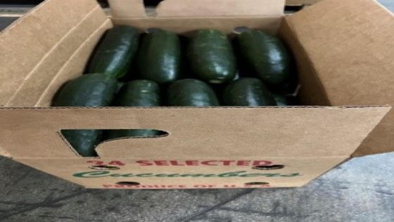 Map shows states affected by recalled cucumbers potentially contaminated with salmonella – MASHAHER