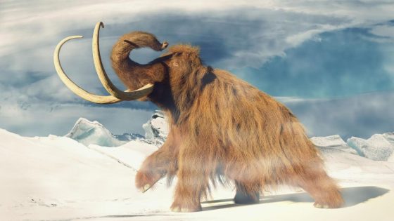 A Piece of Evidence May Explain Why the Woolly Mammoth Disappeared So Suddenly – MASHAHER