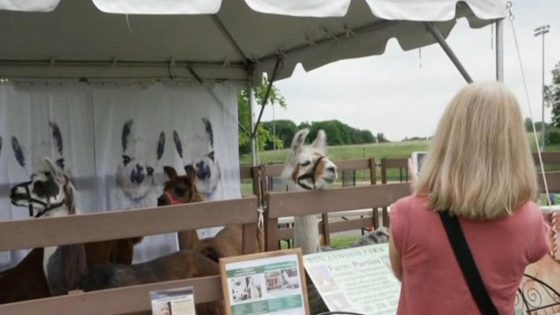 Family of Sandy Hook victim creates animal sanctuary in her honor – MASHAHER