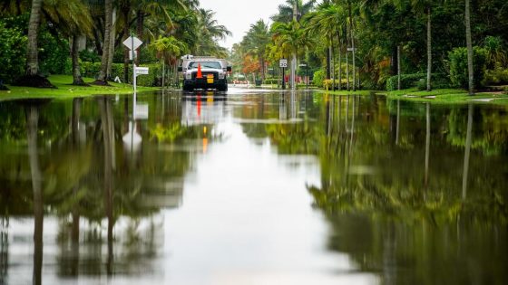 10 creative ways we’ve heard experts describe all of this rain in Florida – MASHAHER