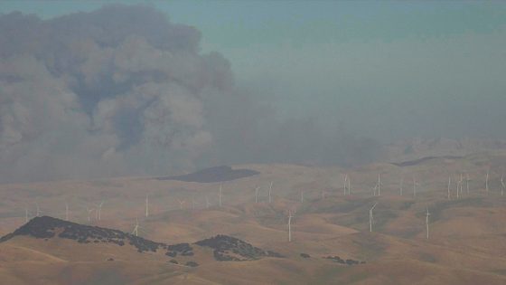 2 firefighters injured as wildfire spreads to 11,000 acres near San Francisco – MASHAHER