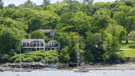 Poisoned trees gave a wealthy couple in Maine a killer ocean view. Residents wonder, at what cost? – MASHAHER