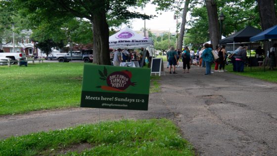 Binghamton first West Side farmers market launches at Rec Park: What to know – MASHAHER