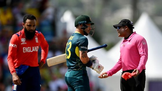 Australia vs England scorecard, Matthew Wade exchange with umpire Nitin Menon, video, highlights, cricket news – MASHAHER