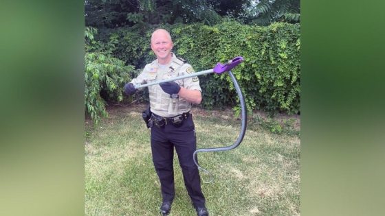 Goodwill employees got more than they bargained for after finding hidden 4-foot-long snake in book box – MASHAHER