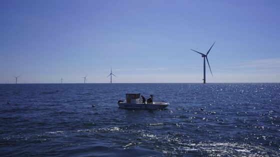 Beneath offshore wind turbines, researchers grow seafood and seaweed – MASHAHER