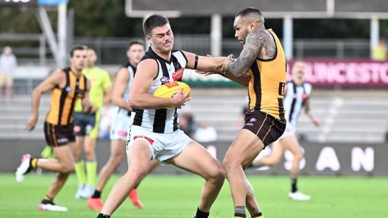 Collingwood Magpies player Josh Carmichael referred to independent concussion panel, persistent issues, head injury, delayed effects, Nathan Murphy, Angus Brayshaw, latest news – MASHAHER