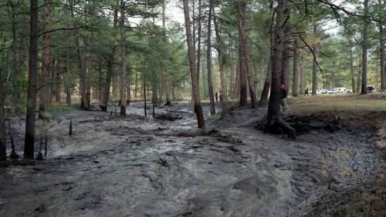 Two dead in New Mexico wildfires, over 1,400 buildings destroyed – MASHAHER