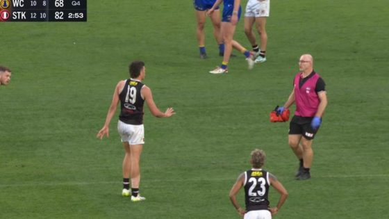 Laura Kane responds to Rowan Marshall head knock, HIA, concussion, can’t force a player from the ground, Garry Lyon, Nathan Buckley, Jason Dunstall comments, reaction, latest news – MASHAHER