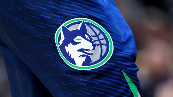 Former Timberwolves analyst pleads guilty for stealing hard drive with proprietary data – MASHAHER