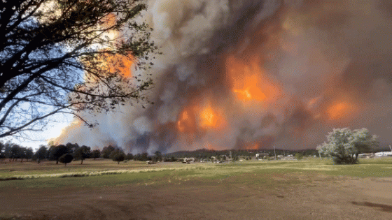 Wildfire Smoke Chokes Southern New Mexico as Further Evacuations Ordered – MASHAHER