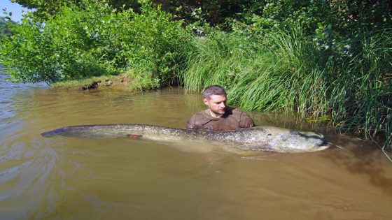 Conservationists Catch Massive, Monstrous-Looking Fish Near New York City – MASHAHER