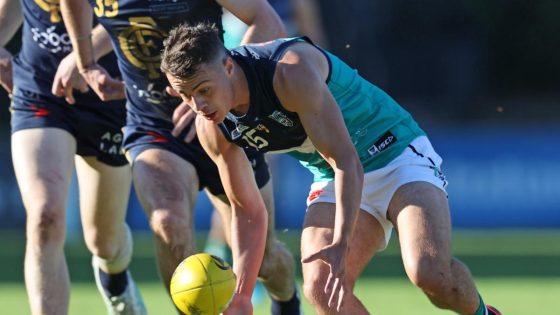 Fremantle Dockers speedster Cooper Simpson has no qualms over playing substitute role – MASHAHER