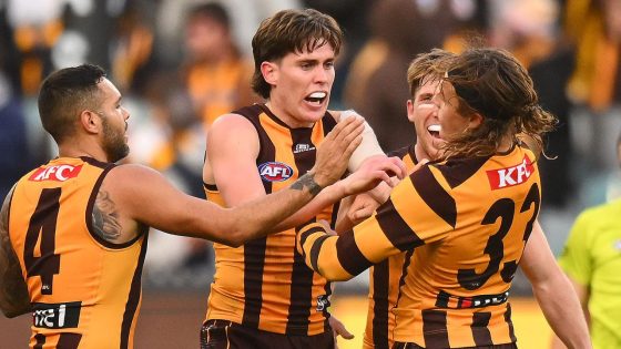 Jack Ginnivan goal celebration with a fired up Will Day, pushing and shoving, video, social media post, Sam Mitchell comments, Hawthorn Hawks win over Adelaide Crows – MASHAHER