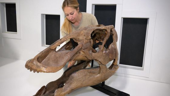 Rare juvenile T. rex fossil found by children in North Dakota to go on display in Denver museum – MASHAHER