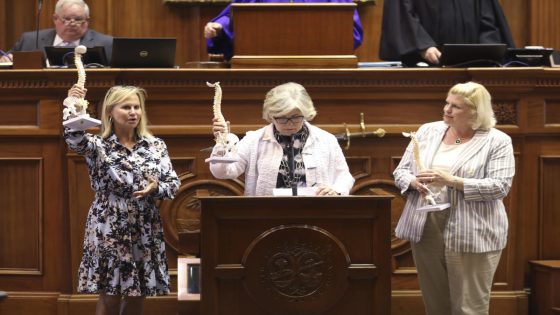 GOP women who helped defeat a near-total abortion ban are losing reelection in South Carolina – MASHAHER