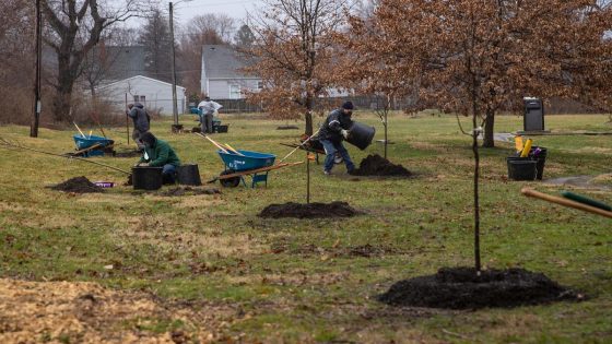 New tech helps Indy plan where to plant trees to reduce effects of rising temps, flooding – MASHAHER