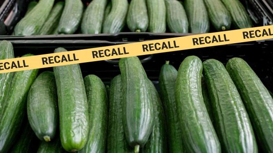 Cucumbers Recalled From 14 States Due to Salmonella Risk – MASHAHER