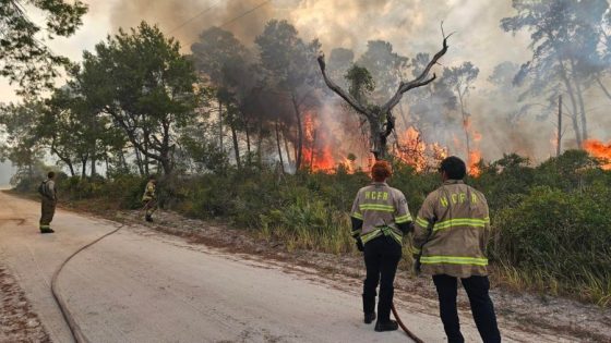 Tampa Bay area firefighters feel impact of brush fires – MASHAHER