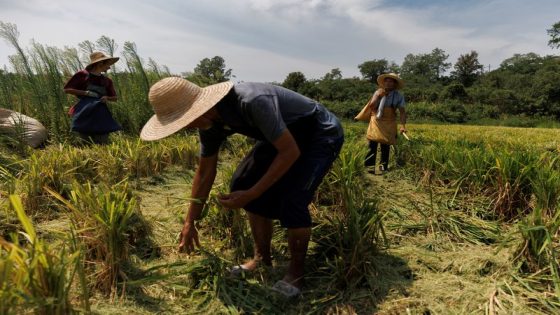 China passes new rural collective law to protect farmers’ land rights – MASHAHER