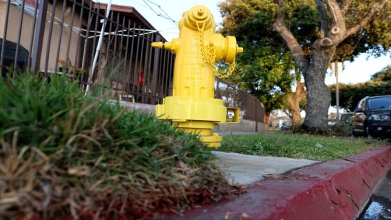 Thieves are stealing L.A. County fire hydrants by the hundreds. Utility is now trying to outsmart them – MASHAHER