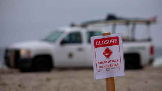 Some Florida Panhandle beaches closed after reported shark attacks – MASHAHER