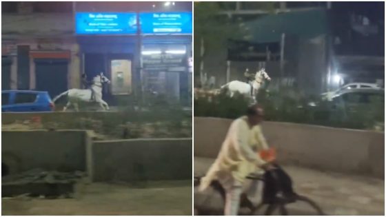 Panchayatâs Sitara Singh or Jai from Jaane Tu? Delhiâs mystery horseback rider goes viral – MASHAHER