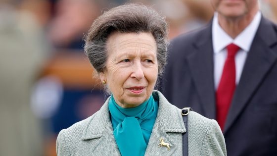 Britain’s Princess Anne hospitalized after ‘incident,’ palace says – MASHAHER