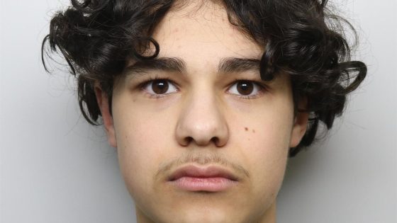 Bardia Shojaeifard: Boy, 15, jailed for murder of Alfie Lewis in knife attack outside school in Leeds | UK News – MASHAHER